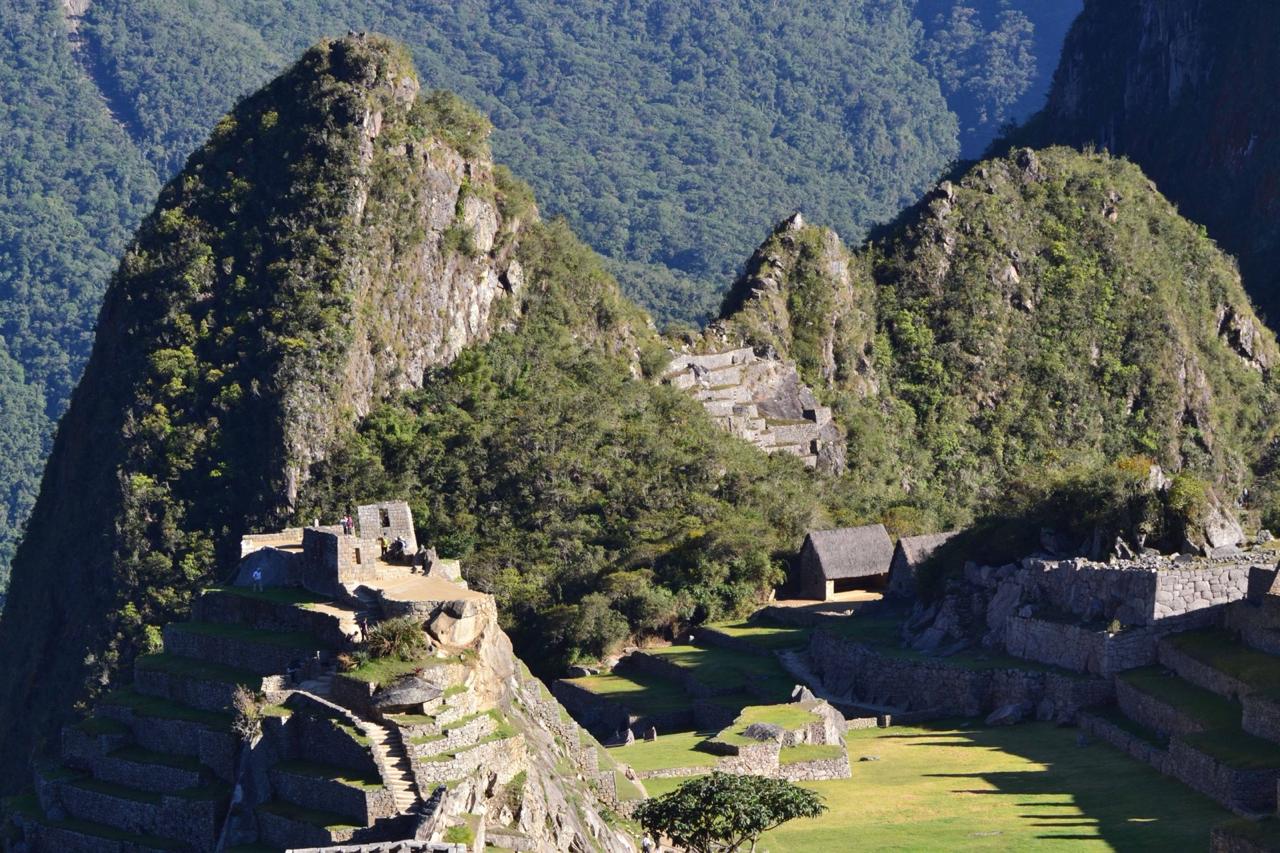 Imagem do WhatsApp de 2025-05-19 à(s) 13.19.47_fe3f78e5.jpg